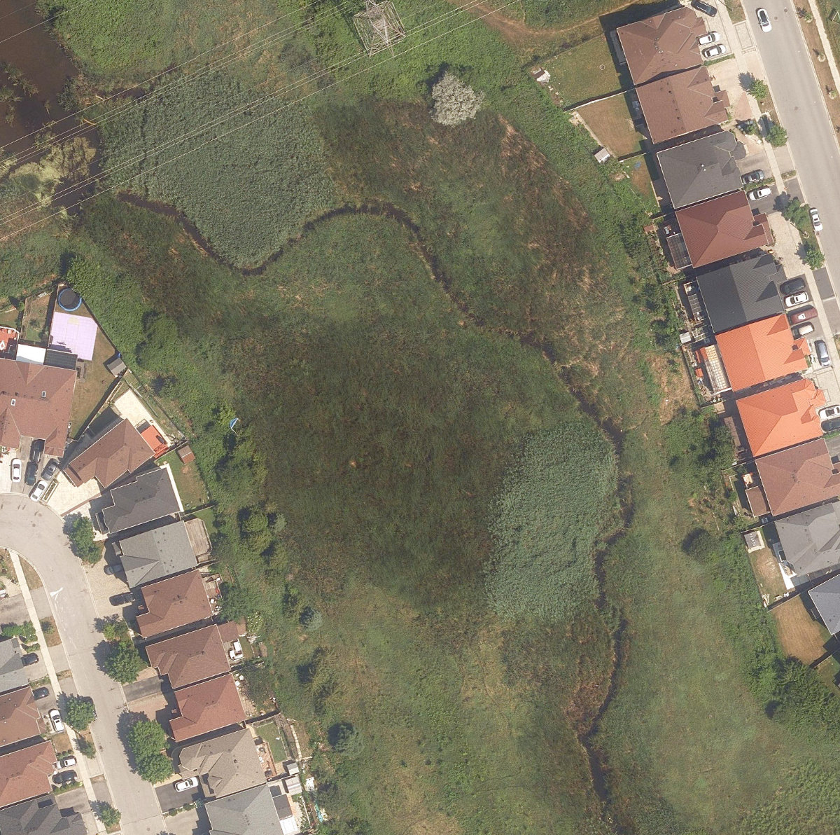 Rouge River Watercourse — site photograph