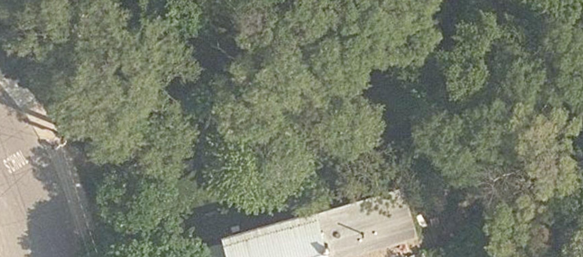 Cedarvale Park — site photograph