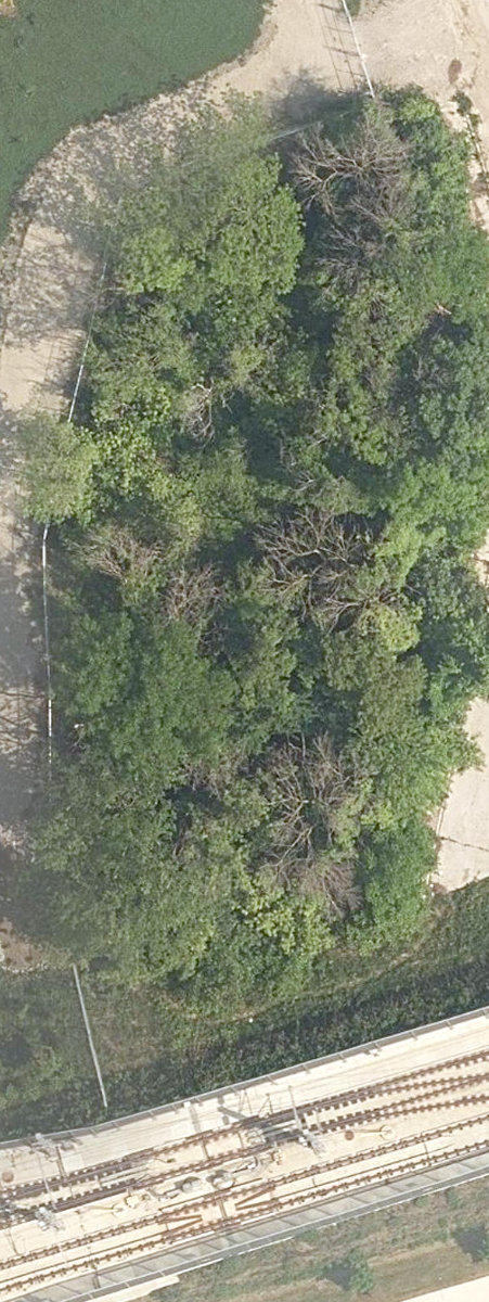 City Wide Open Space — site photograph