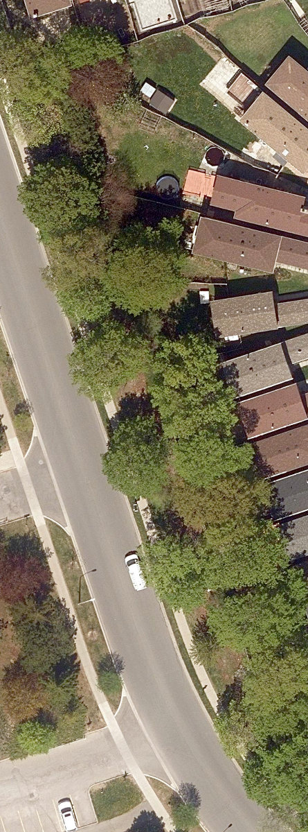 City Wide Open Space — site photograph