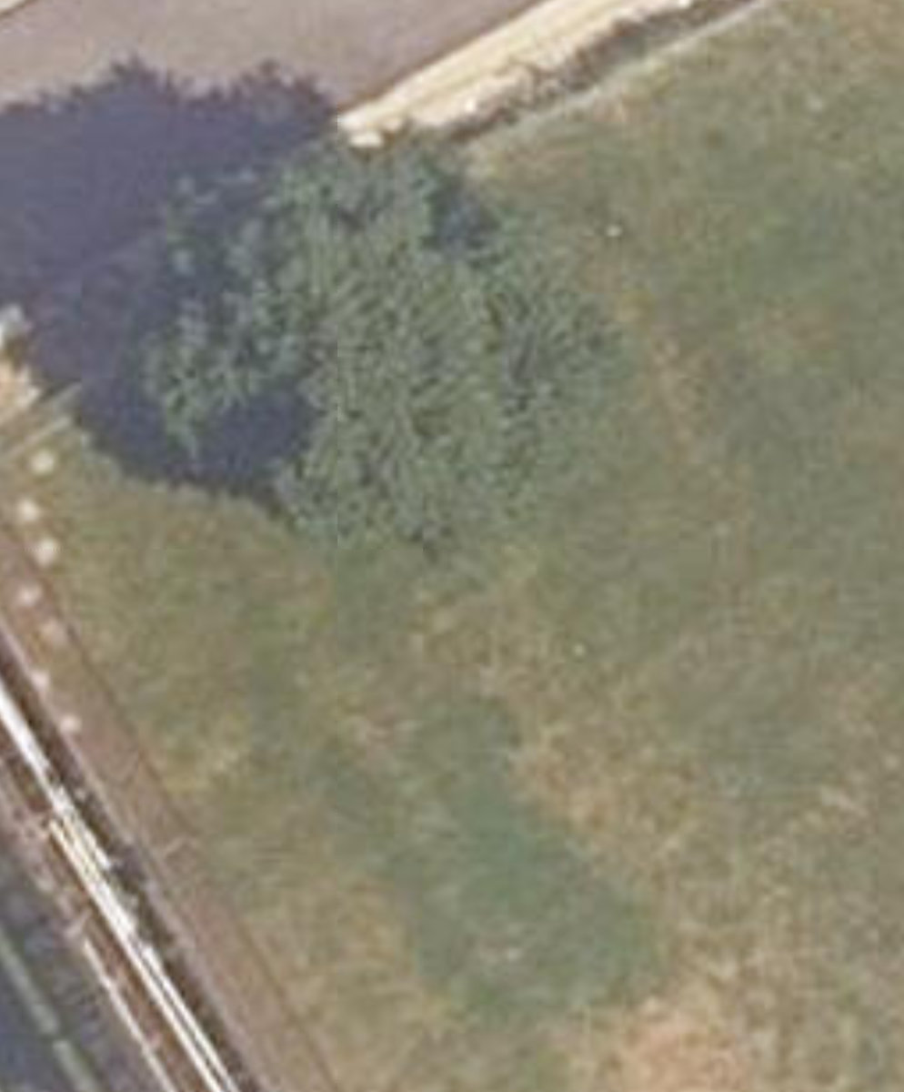 City Wide Open Space — site photograph