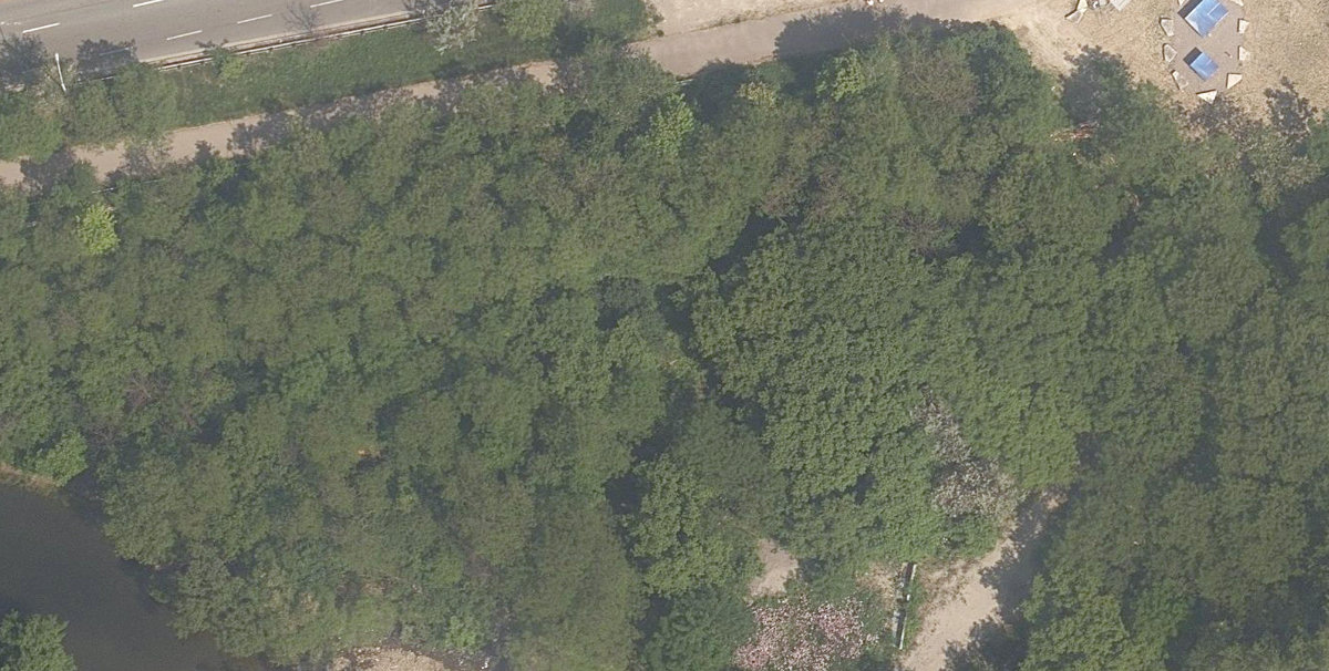 Mimico Creek Ravine — site photograph