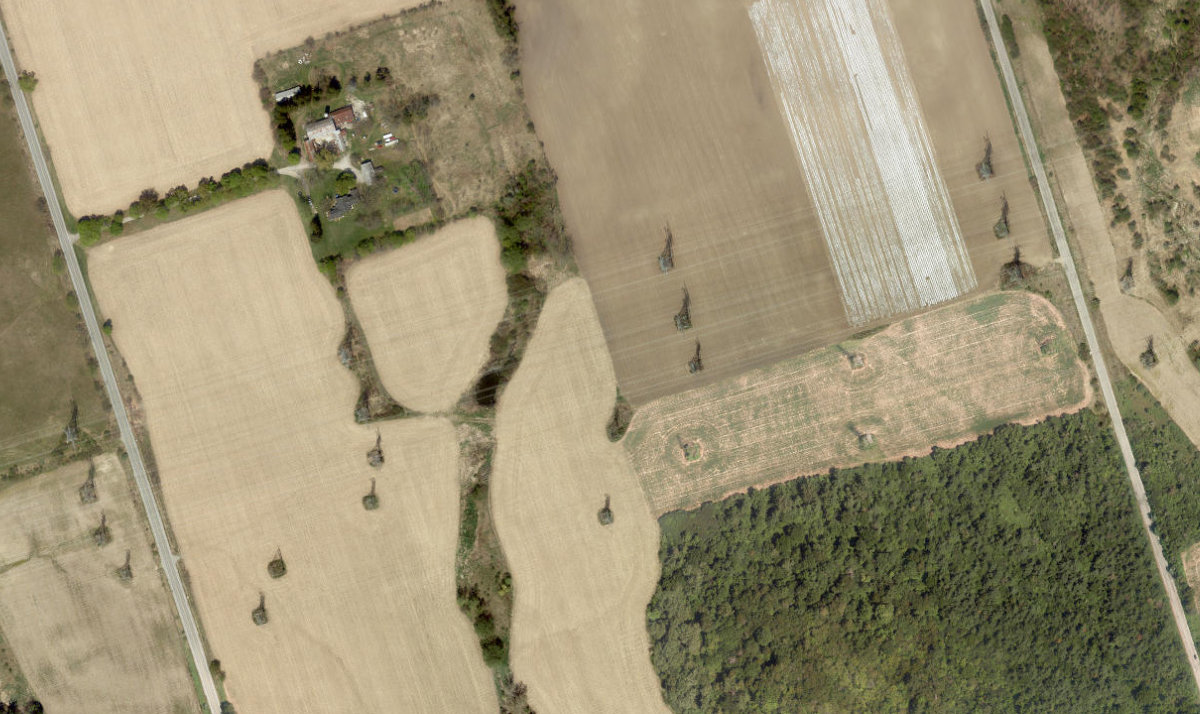 Rouge Park — site photograph