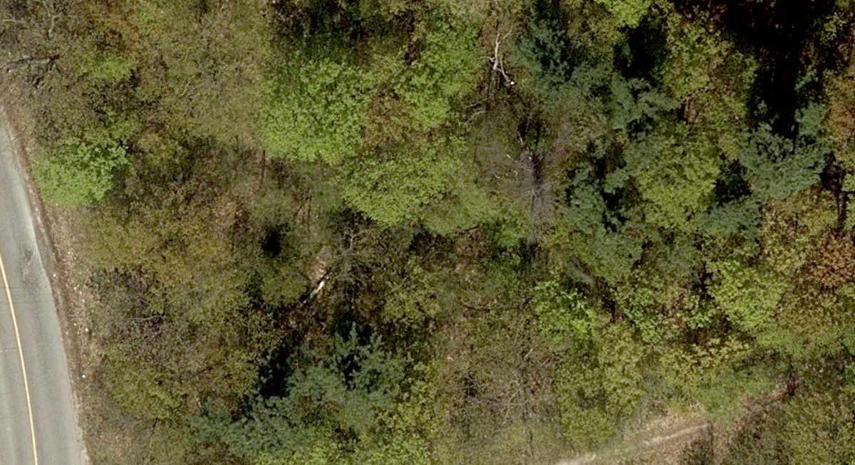 Rouge Park — site photograph