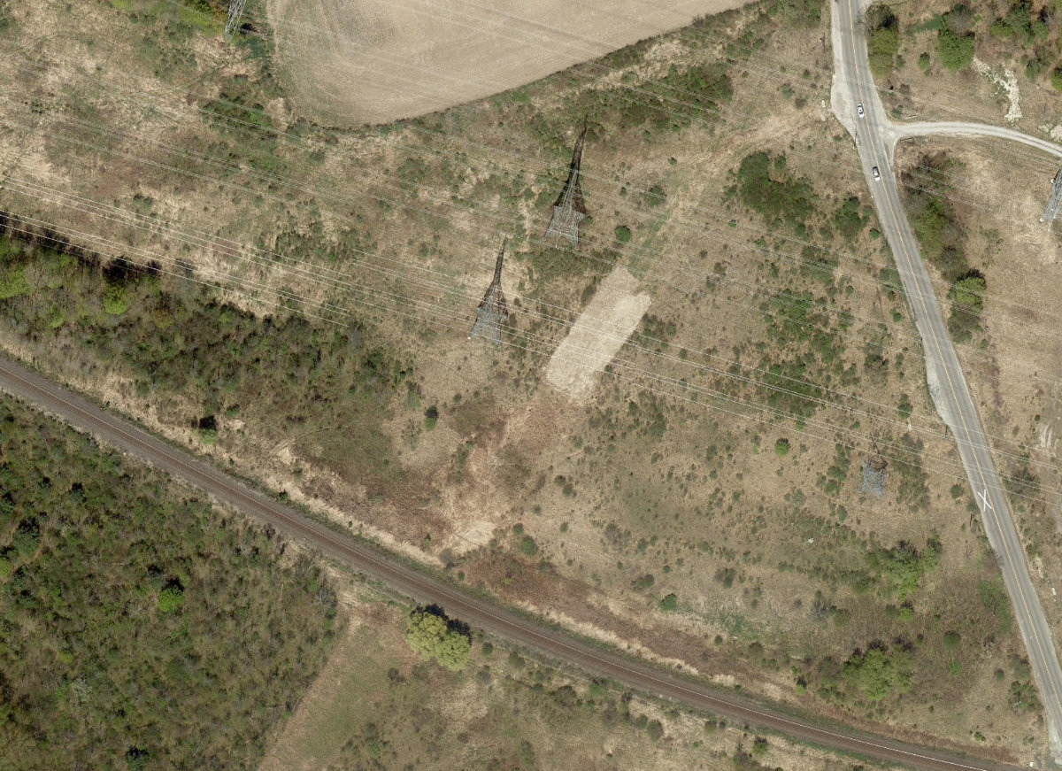 Rouge Park — site photograph