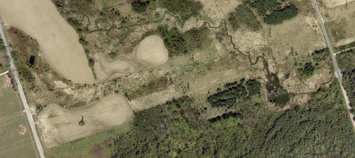 Rouge Park — site photograph