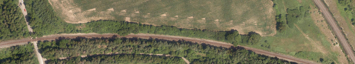 Rouge Park — site photograph