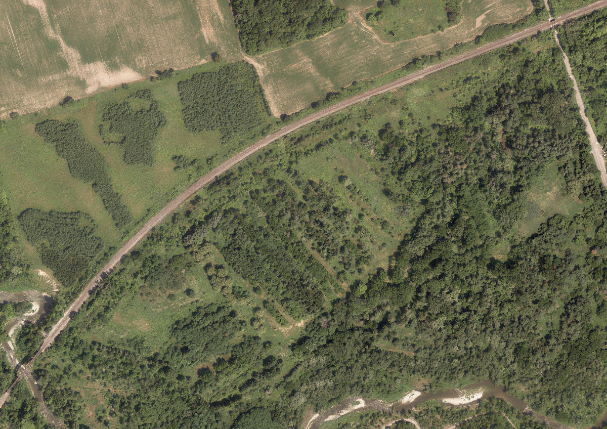 Rouge Park — site photograph