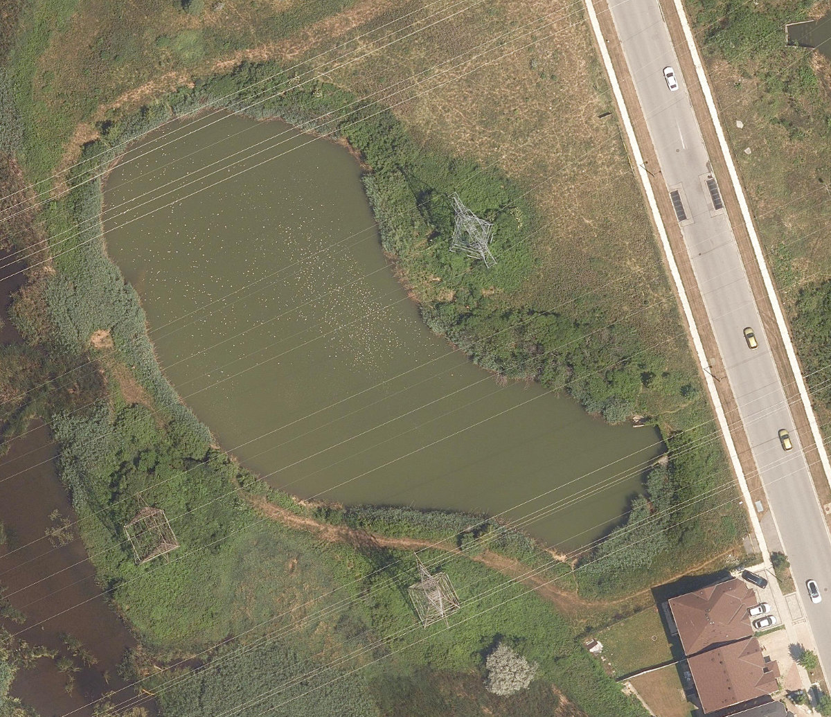 Rouge Retention Pond — site photograph