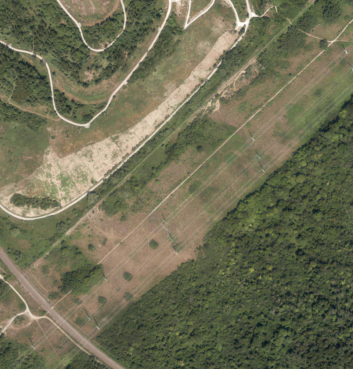Rouge Park — site photograph