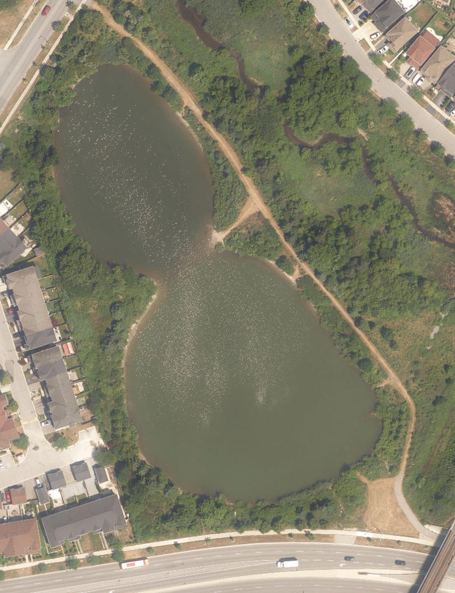 Staines Road Retention Pond — site photograph