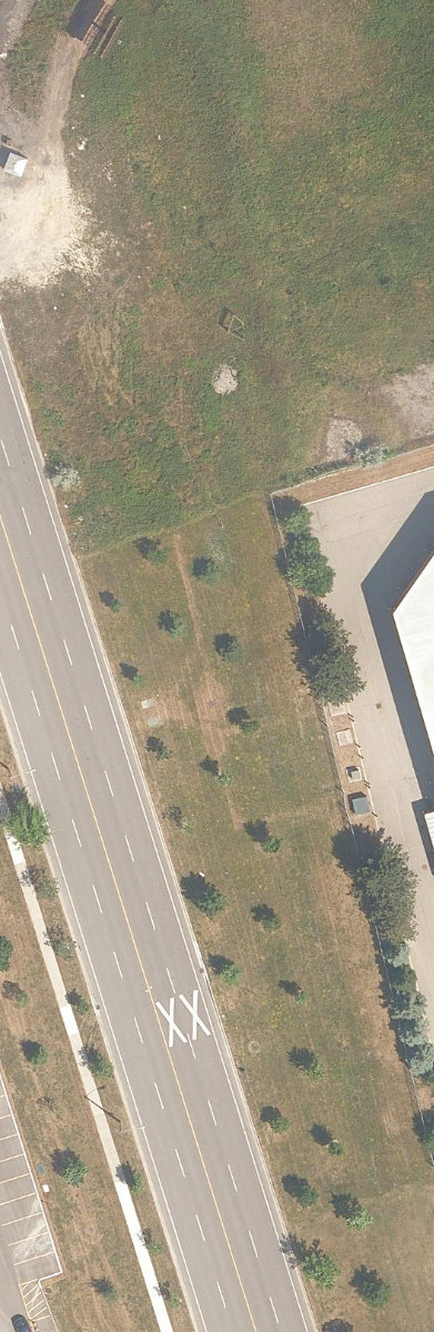City Wide Open Space — site photograph