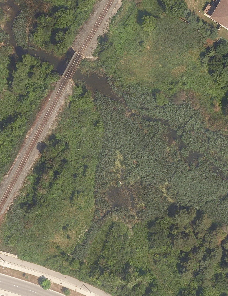 Rouge River Watercourse — site photograph