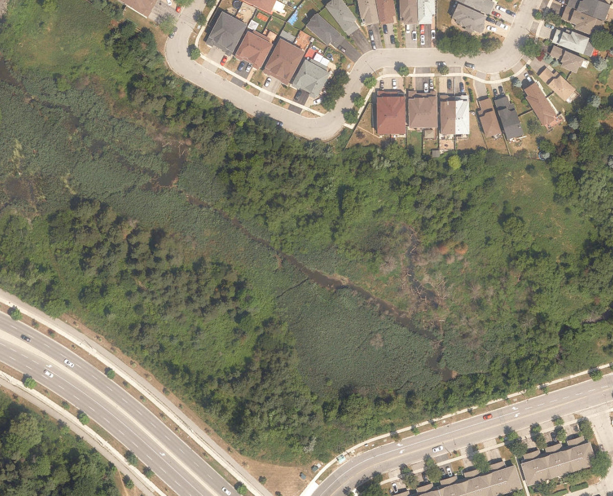 Rouge River Watercourse — site photograph