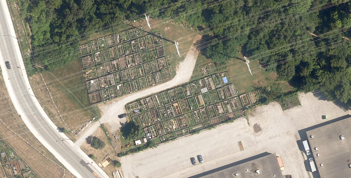 Thorncliffe Allotment Gardens — site photograph