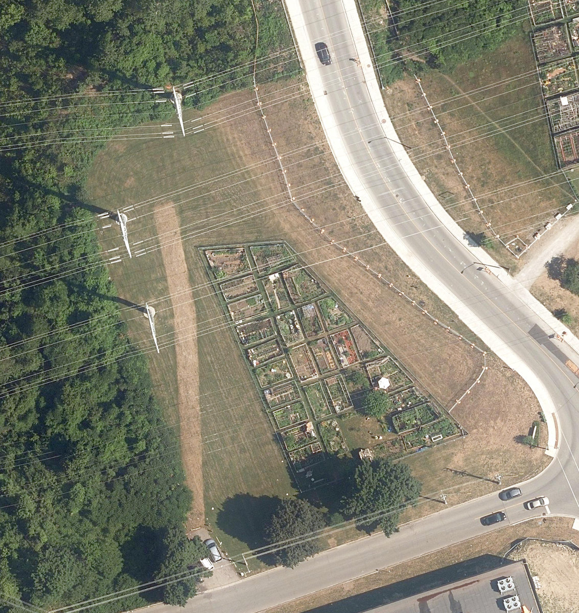 Thorncliffe Allotment Gardens — site photograph