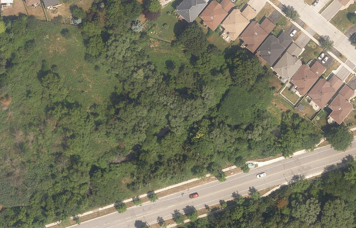 Rouge River Watercourse — site photograph