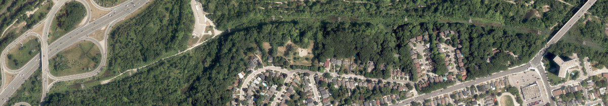 Taylor Creek Park — site photograph
