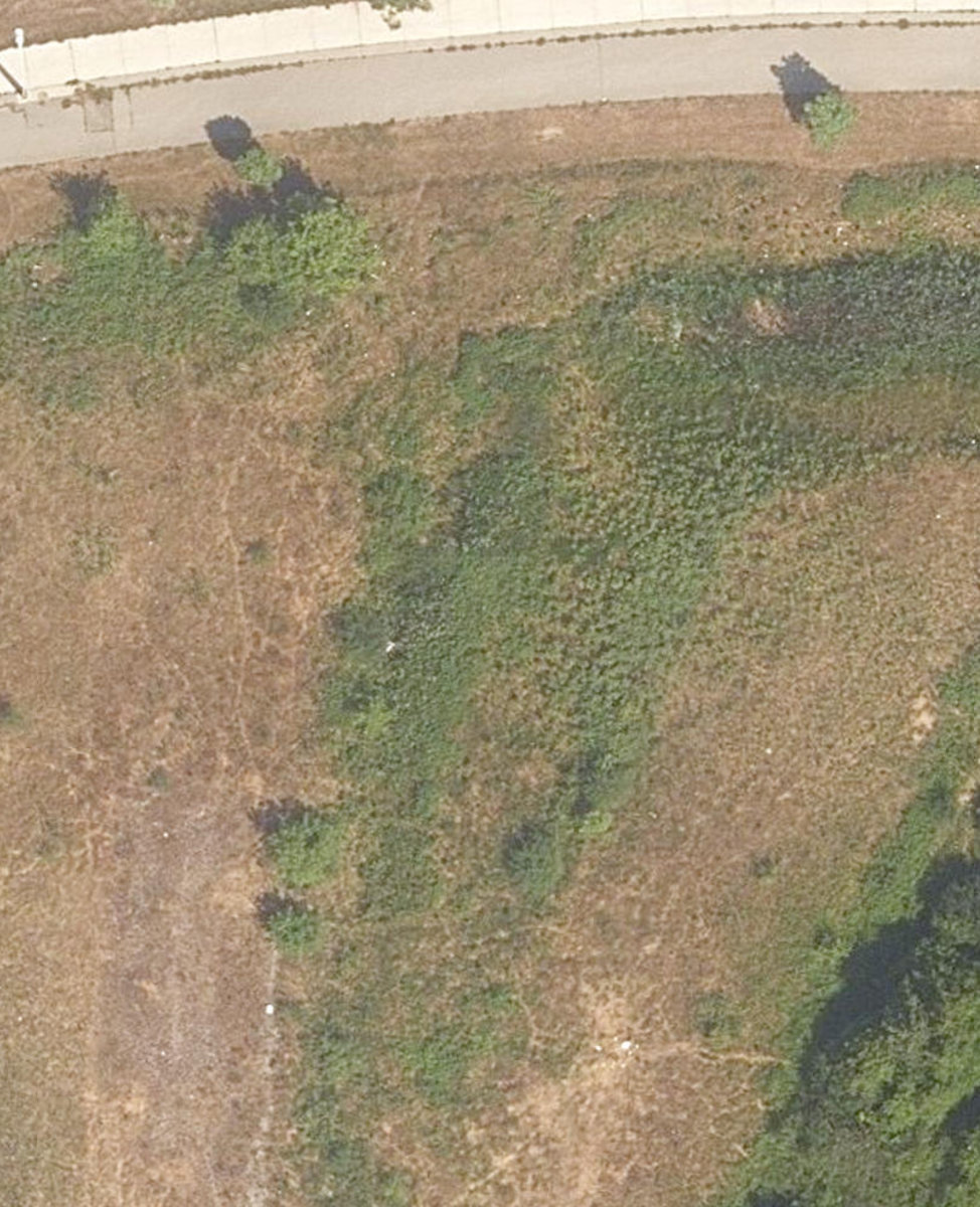 City Wide Open Space — site photograph