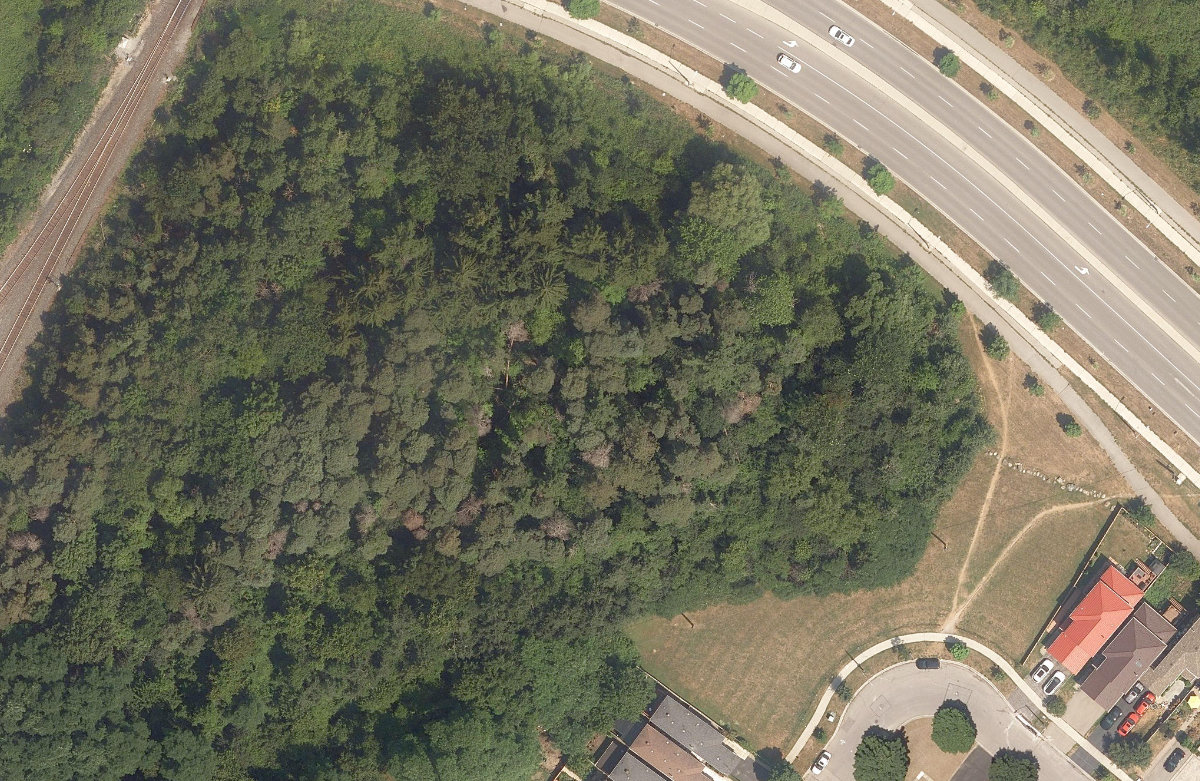 City Wide Open Space — site photograph