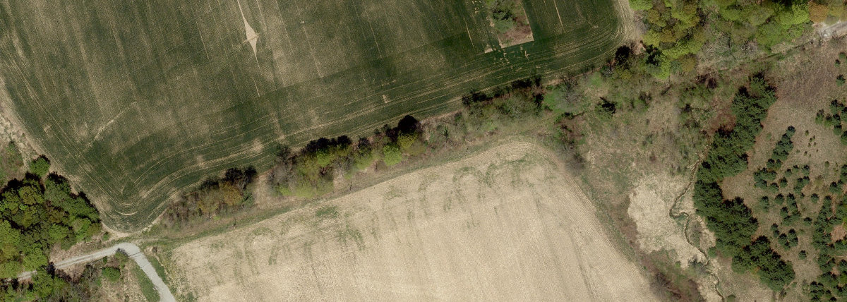 Rouge Park — site photograph