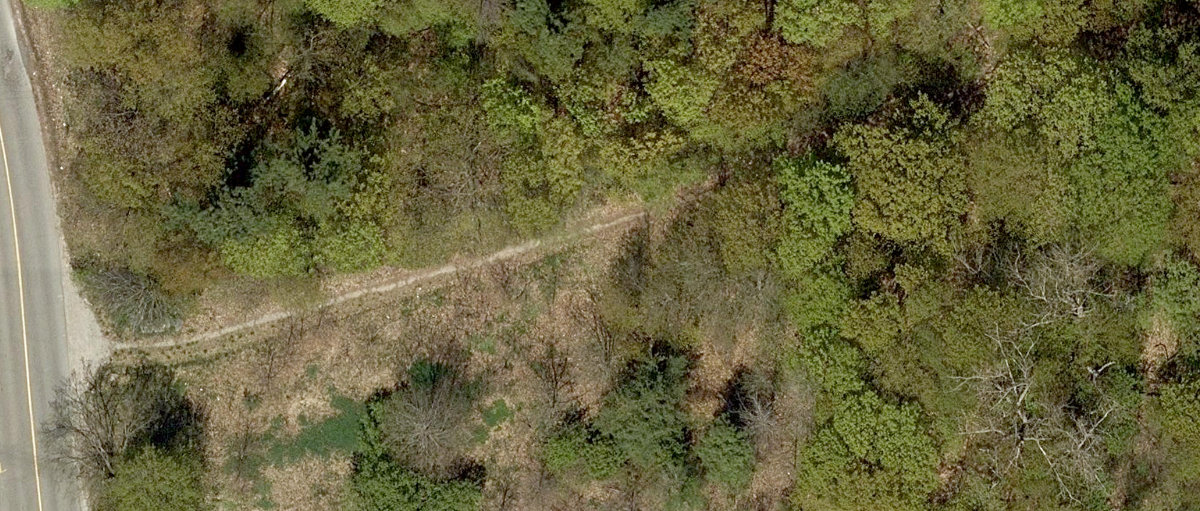 Rouge Park — site photograph