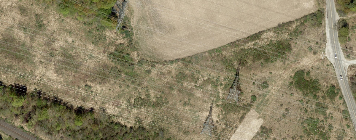 Rouge Park — site photograph
