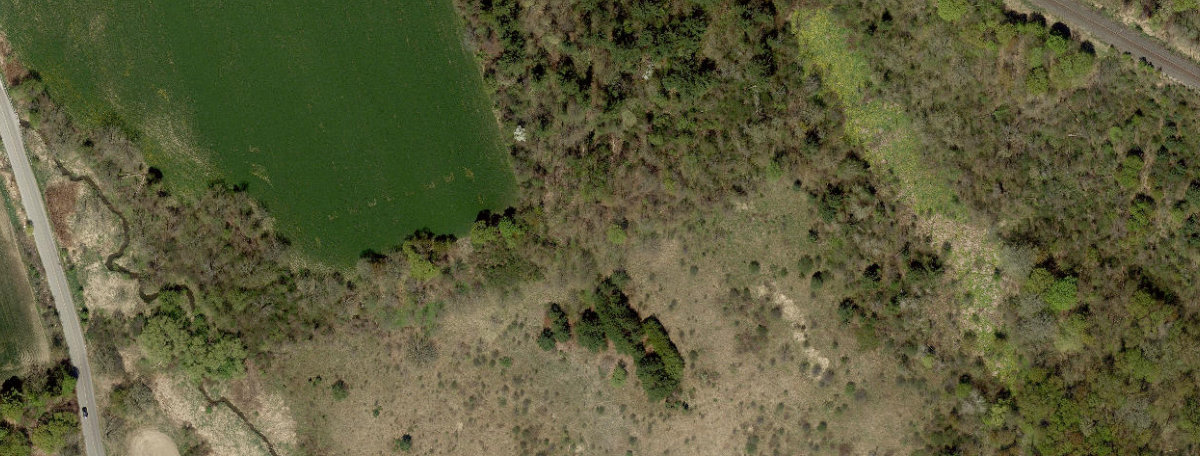 Rouge Park — site photograph