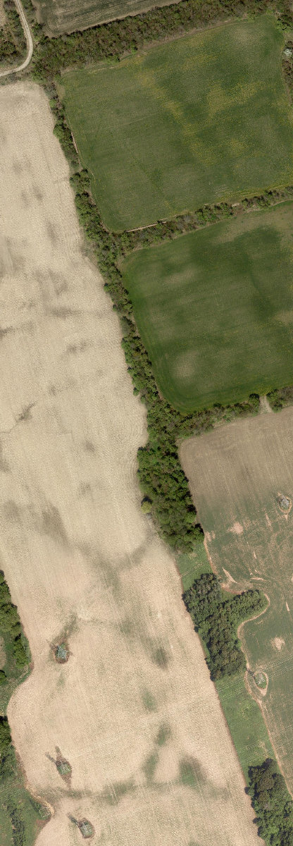 Rouge Park — site photograph