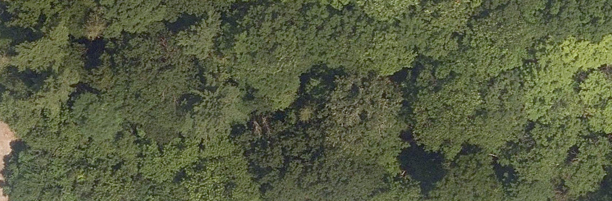 Rouge Park — site photograph