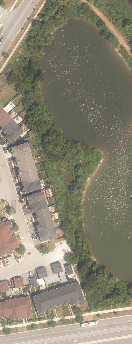 Staines Road Retention Pond — site photograph