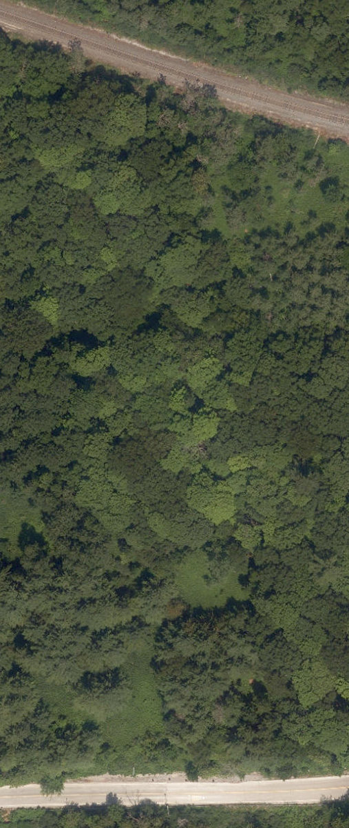 Rouge Park — site photograph
