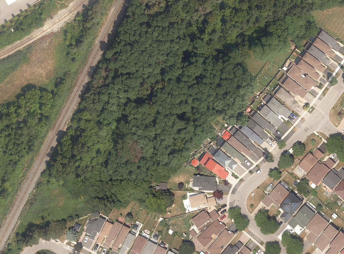 City Wide Open Space — site photograph