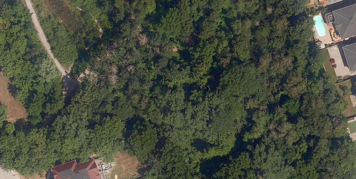 City Wide Open Space — site photograph