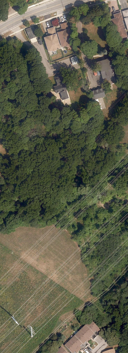 City Wide Open Space — site photograph