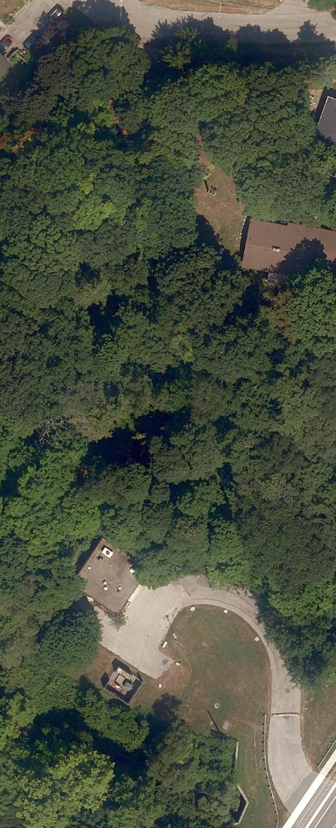 Adam'S Creek Ravine — site photograph