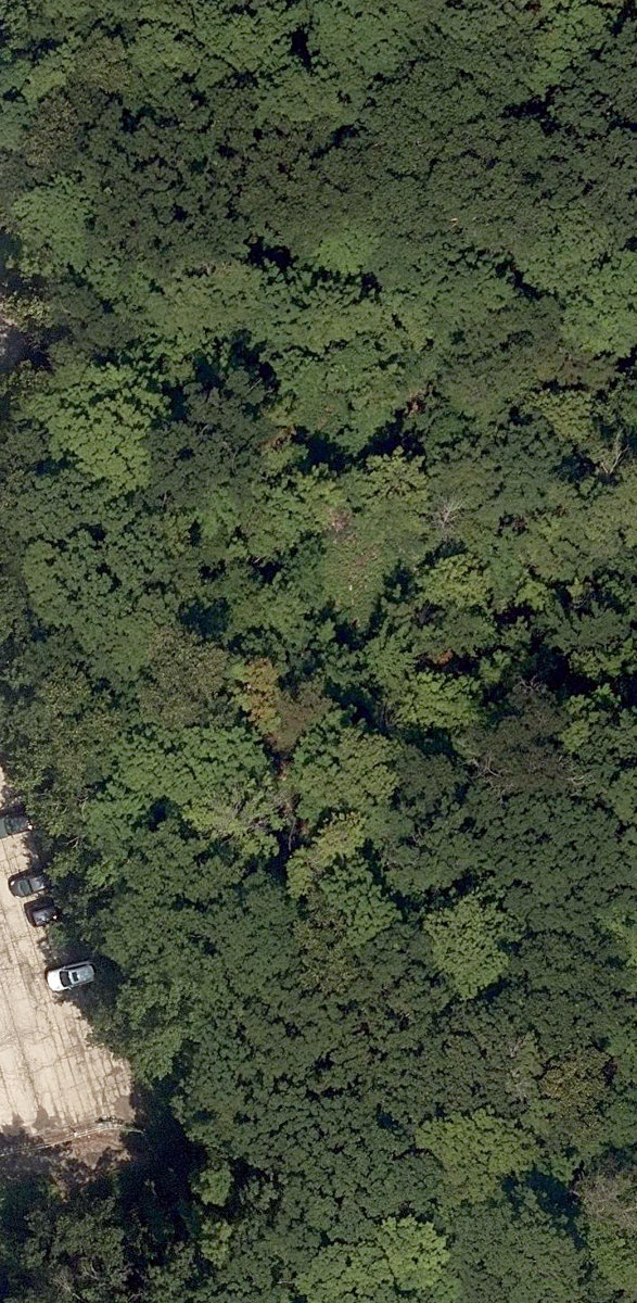 Morningside Park — site photograph