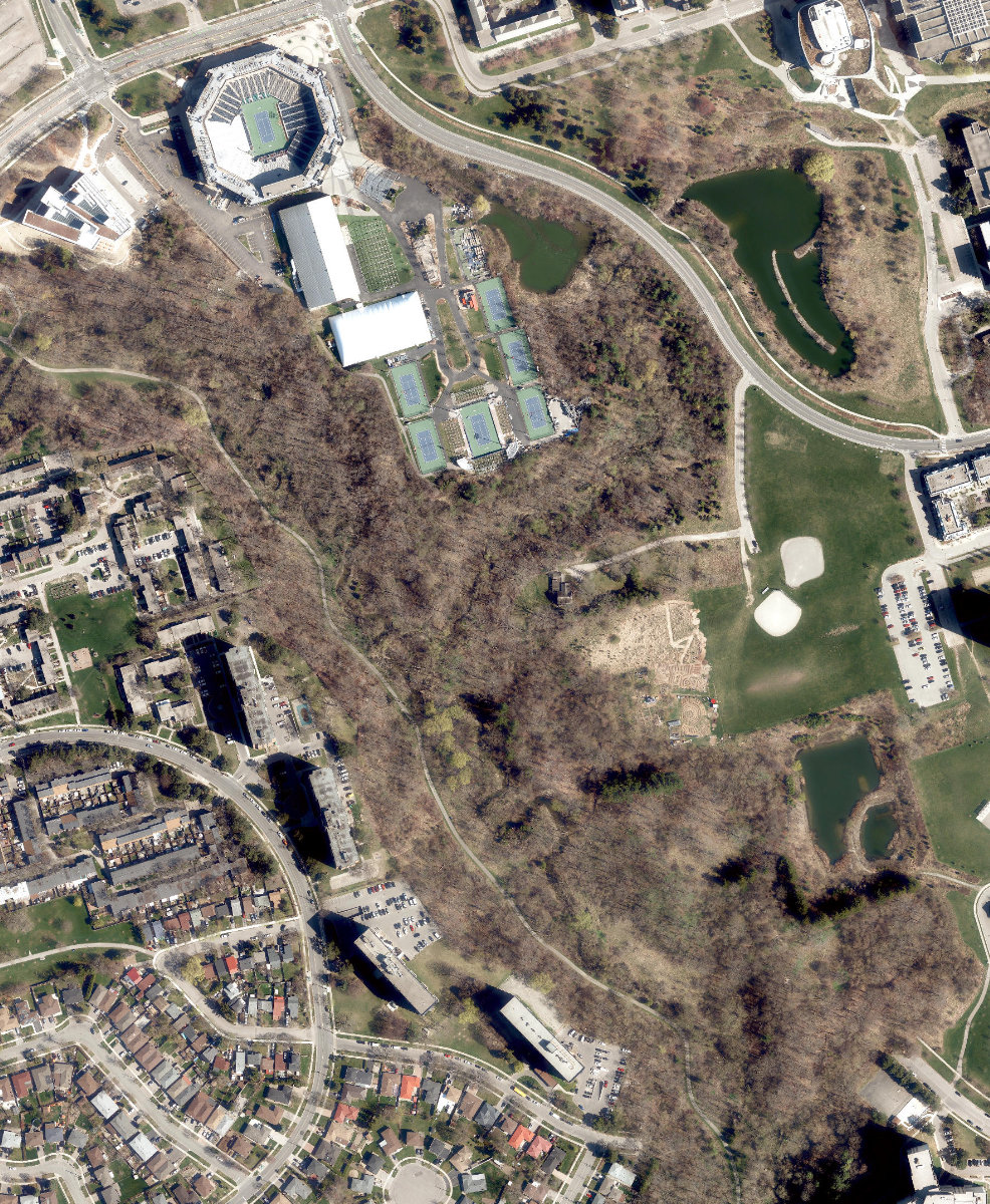 Black Creek Parkland — site photograph