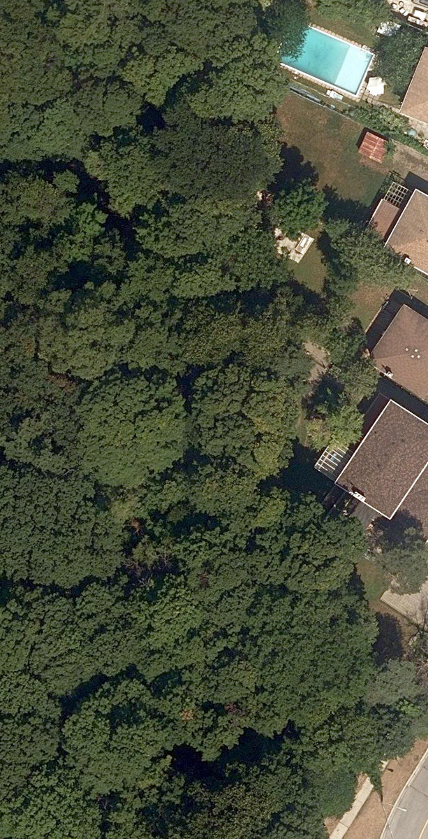 Morningside Park — site photograph