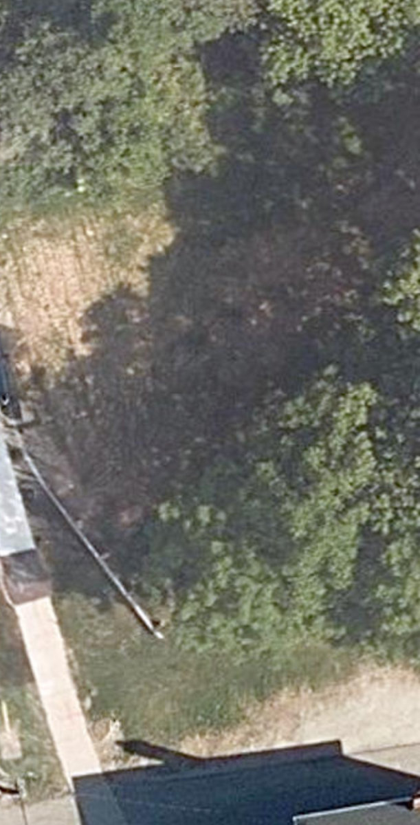 Finch / Dufferin Woodlot — site photograph