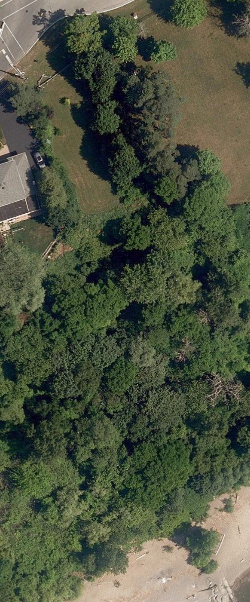 Guildwood Shores — site photograph