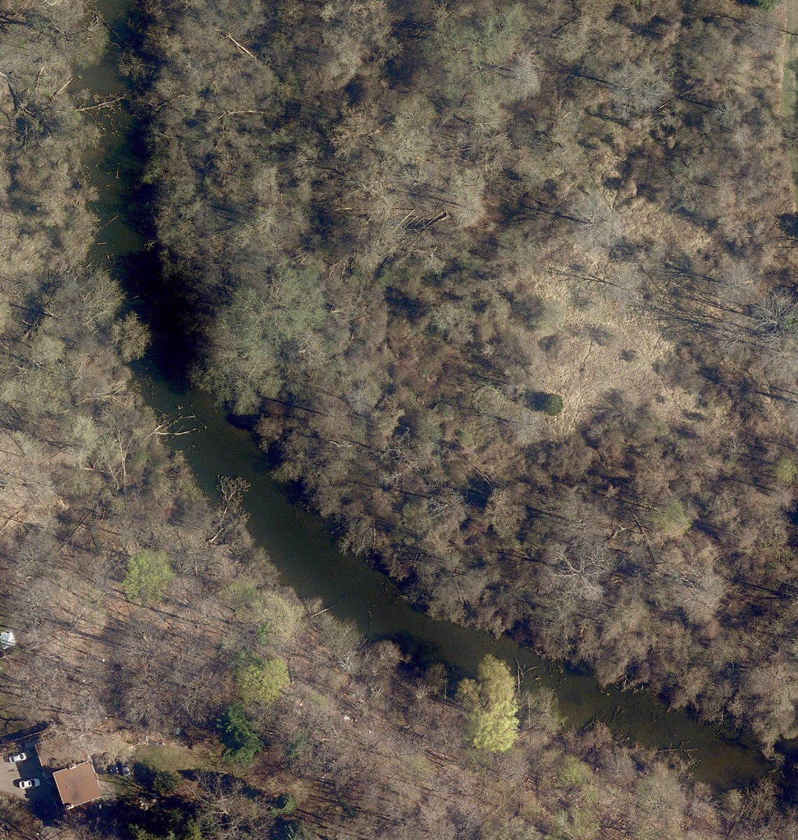 West Humber Parkland — site photograph