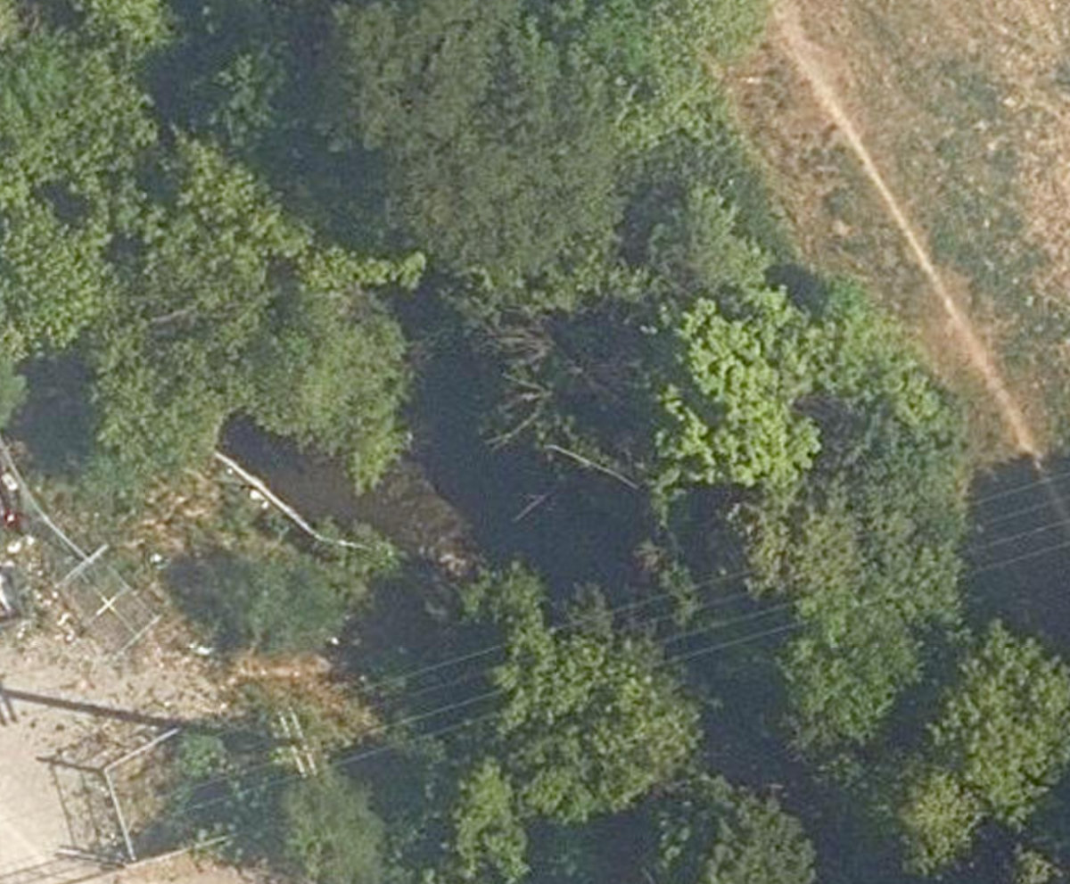 Massey Creek Ravine — site photograph