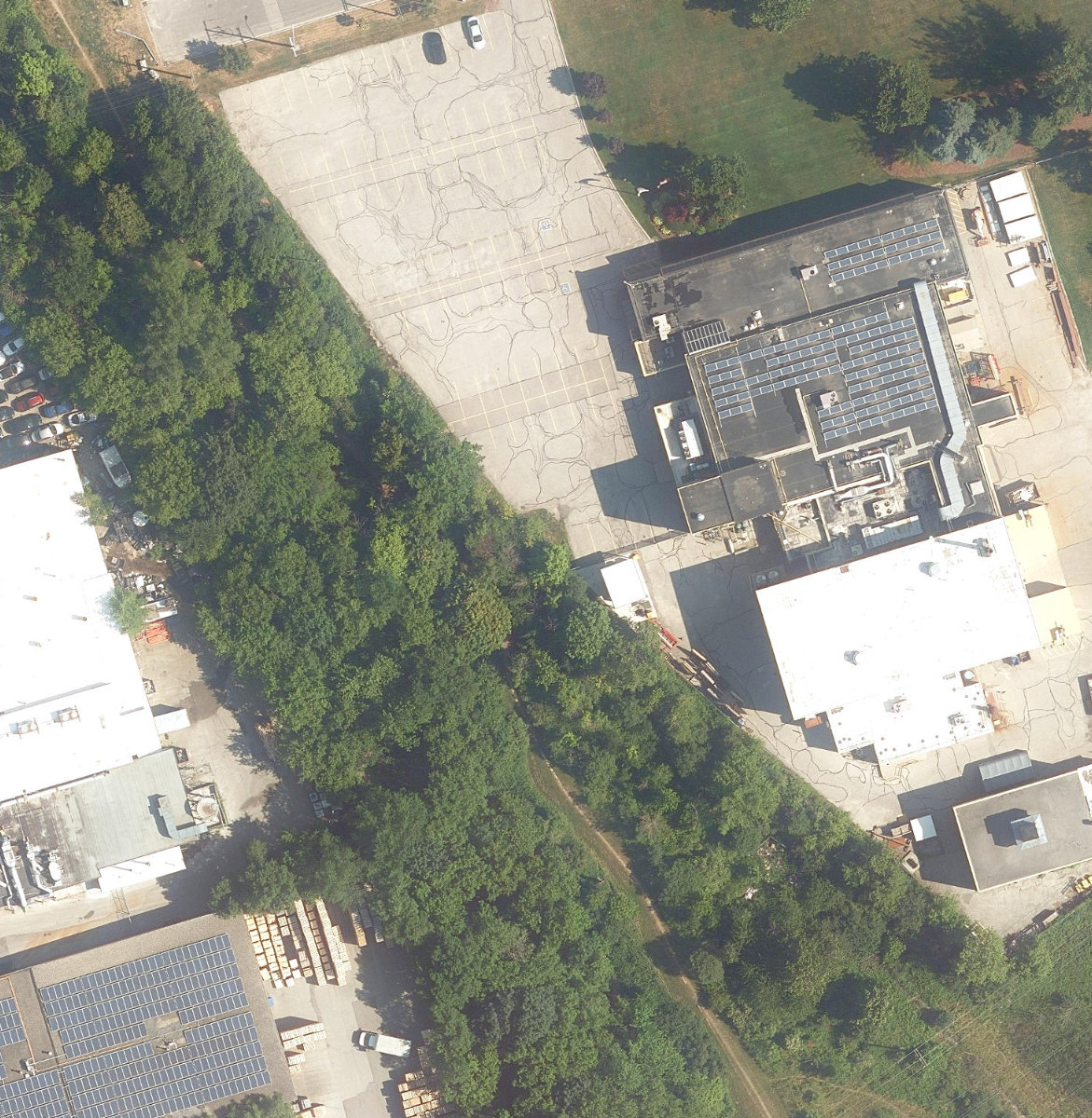 Massey Creek Ravine — site photograph