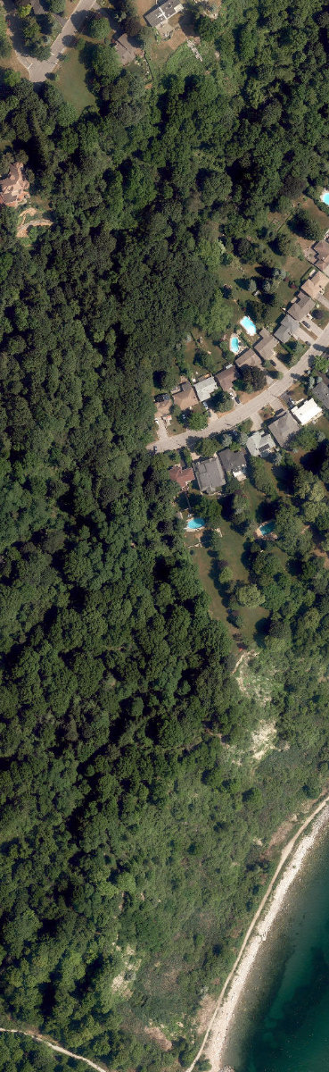 Sylvan Park - Gates Gully — site photograph