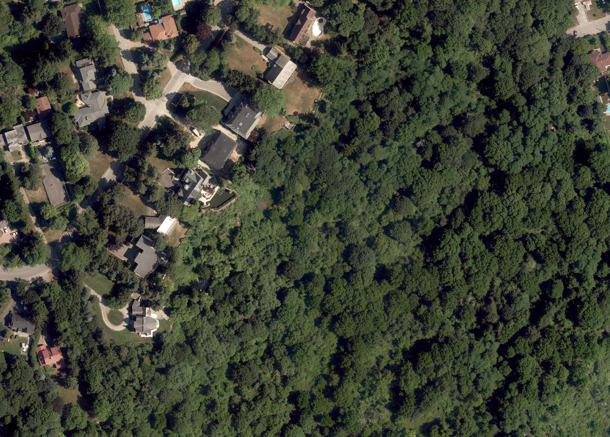 Sylvan Park - Gates Gully — site photograph