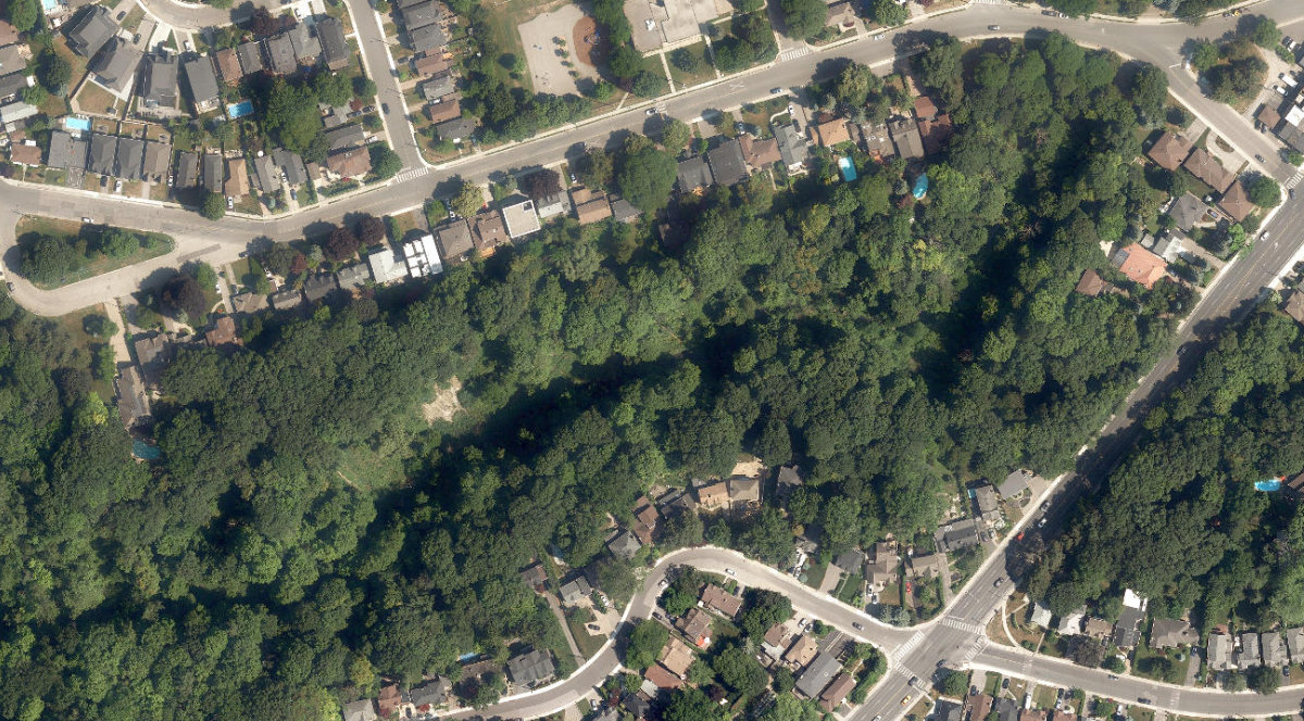 Taylor Creek Park — site photograph