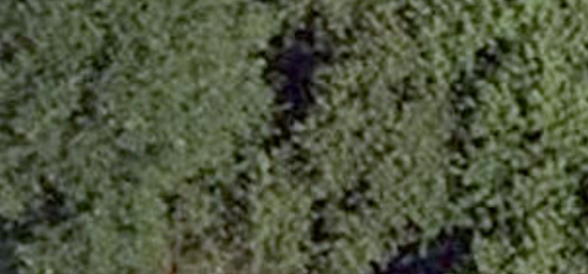 East York Hydro Green Space — site photograph