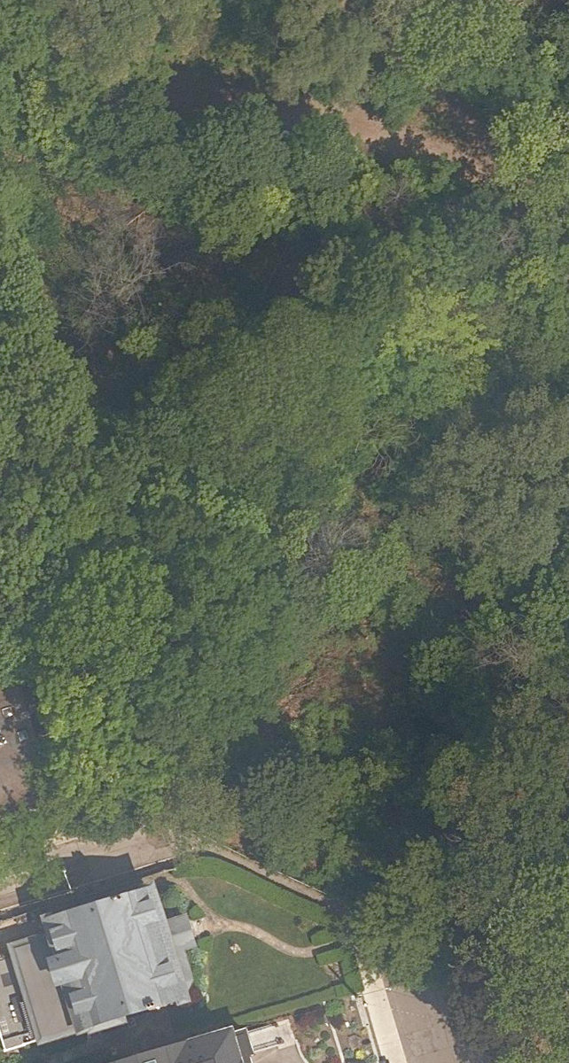 Nordheimer Ravine — aerial / top-down view