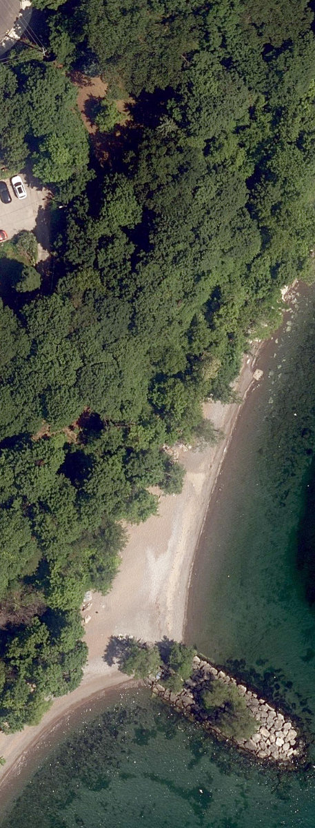 Fallingbrook Road Slopes — site photograph